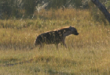 IMG_0679a