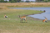 IMG_0739