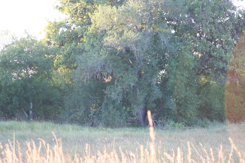 IMG_0772