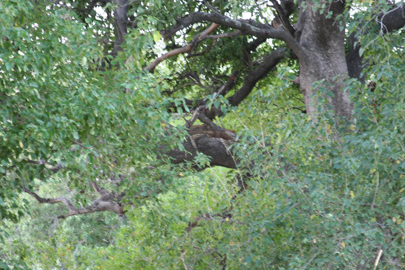 IMG_0776
