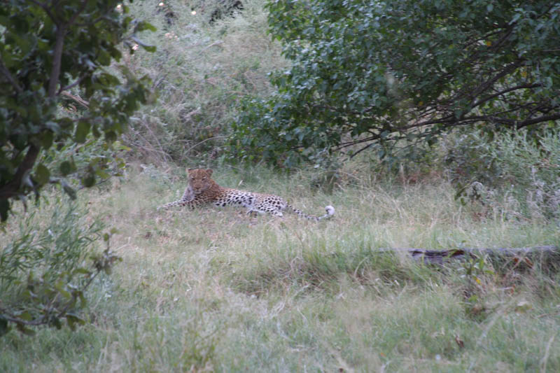 IMG_0788