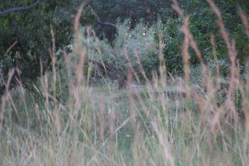 IMG_0792
