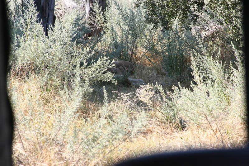 IMG_1237