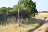 IMG_0691