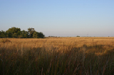 IMG_0840