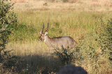 IMG_1275