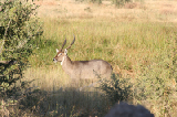 IMG_1276
